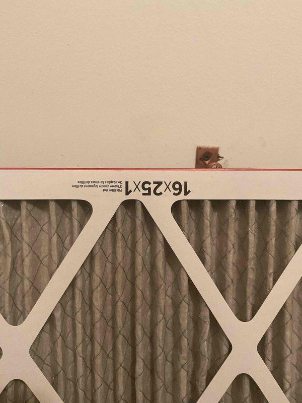 Responded to no cooling call on 6-year-old residential air conditioning unit. Upon inspection, discovered dead mouse had caused common capacitor failure, resulting in system shutdown. Replaced damaged capacitor and restored unit to proper operation.