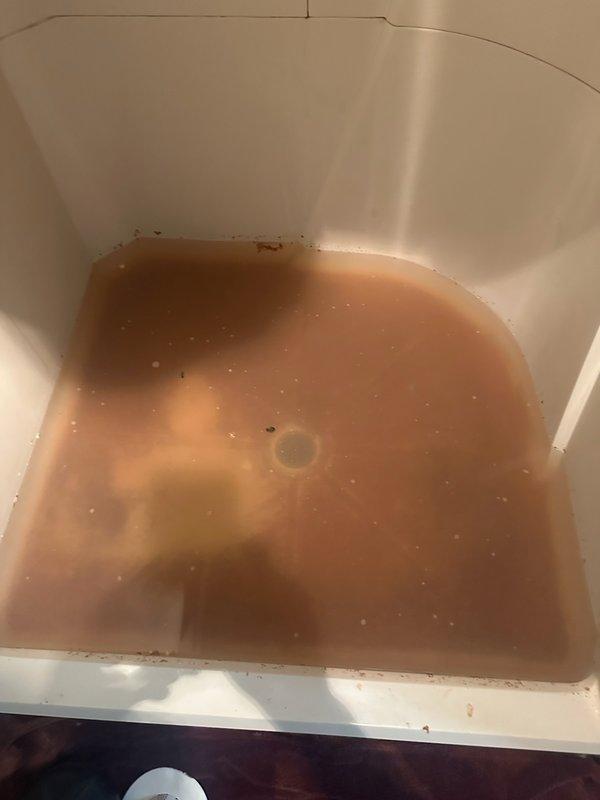 Responded to a basement bathroom emergency involving backed-up shower and toilet fixtures. Upon arrival, found approximately 4 inches of standing water with rust-colored sediment in the shower base and a non-draining toilet. Initial customer attempts with chemical drain cleaner and plunger had been unsuccessful and caused cross-contamination between fixtures, indicating a main line blockage.

Deployed rigid drain cleaning machine to snake the main drainage line. Located and removed a cloth or diaper obstruction at 27 feet from the access point. Continued mechanical cleaning to address approximately 3 feet of solid grease buildup in the pipe downstream from the initial blockage. Successfully cleared the line and restored proper drainage to all affected fixtures. Documented site conditions with photographs showing the standing water discoloration and shower pan condition prior to service completion.