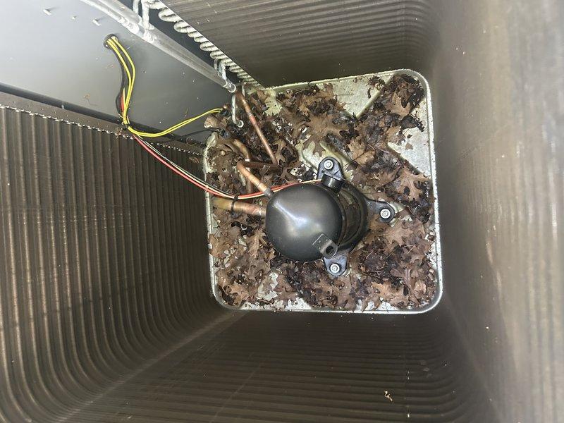 Completed comprehensive seasonal maintenance on 2-year-old HVAC system including both heating and cooling components. Performed furnace tune-up with operational testing, cleaned flame sensor, inspected igniter, verified gas pressure within specifications, replaced air filter, and inspected blower motor assembly. Cleared condensate drain lines to ensure proper drainage and prevent overflow. Transitioned system to cooling mode and performed exterior condenser coil cleaning to remove debris and restore optimal airflow. Tested all air conditioning components including compressor, fan motor, and capacitor. Measured temperature differential across evaporator coil confirming adequate system performance. All heating and cooling equipment operating within manufacturer specifications with no deficiencies noted.