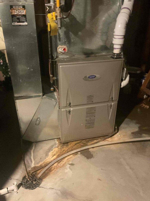 Replaced failed combustion inducer blower assembly and defective dual pressure switch on Carrier furnace. Verified proper draft pressure readings of 188 and 184 using calibrated manometer, confirming system is operating within manufacturer specifications and venting safely.