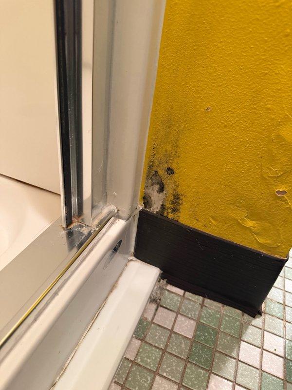 Responded to water leak complaint at shower enclosure installed in April with soft, discolored drywall at corner. Performed diagnostic testing by running water at shower door corner, confirming water seepage through door seal. Inspected all plumbing fixtures including shower valve and shower arm to rule out supply line leaks—no issues found with plumbing components. Identified failed seal at shower door corner as source of water intrusion, evidenced by mold growth and moisture damage at wall-to-door junction. Documented conditions with photos showing discoloration and used inspection camera to assess extent of moisture penetration behind wall surfaces. Coordinated with shower door installation company to schedule resealing of compromised door seal to resolve leak issue.