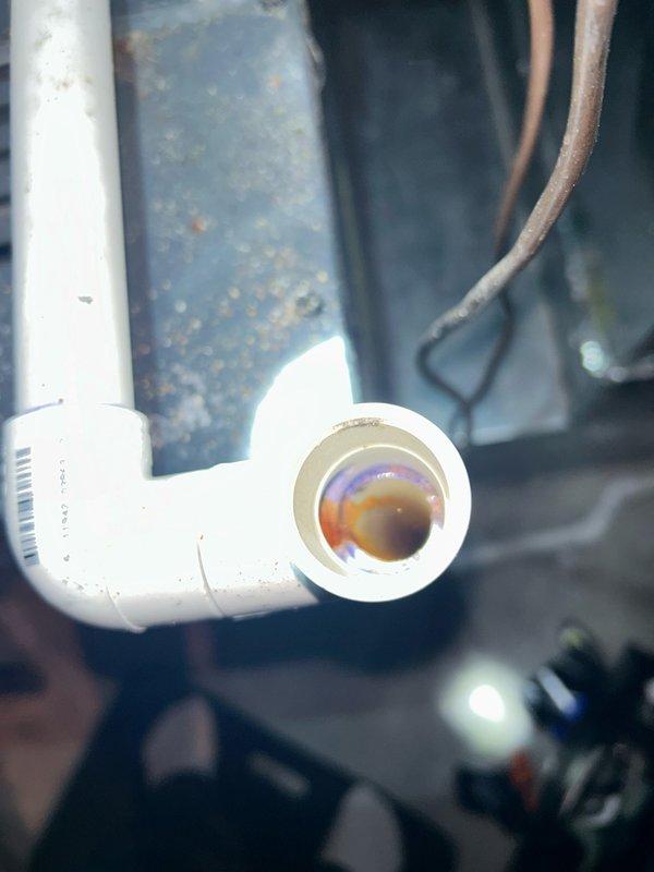 Completed comprehensive furnace tune-up and maintenance inspection per agreement terms. Verified thermostat operation, air filter condition, blower assembly, burner and heat exchanger compartment, inducer operation, ignition system, flame sensor, safety controls, electrical components, condensate drain system, and temperature rise measurements. Cleaned flame sensor to ensure proper ignition detection. Cleared condensate drain line of blockage and debris to prevent water backup. Cleared pressure tube and condensation tube to maintain proper system operation. All operational readings measured within manufacturer specifications with no mechanical deficiencies or safety concerns identified. System operating properly at time of service completion. Recommend regular filter maintenance to ensure continued efficient operation.