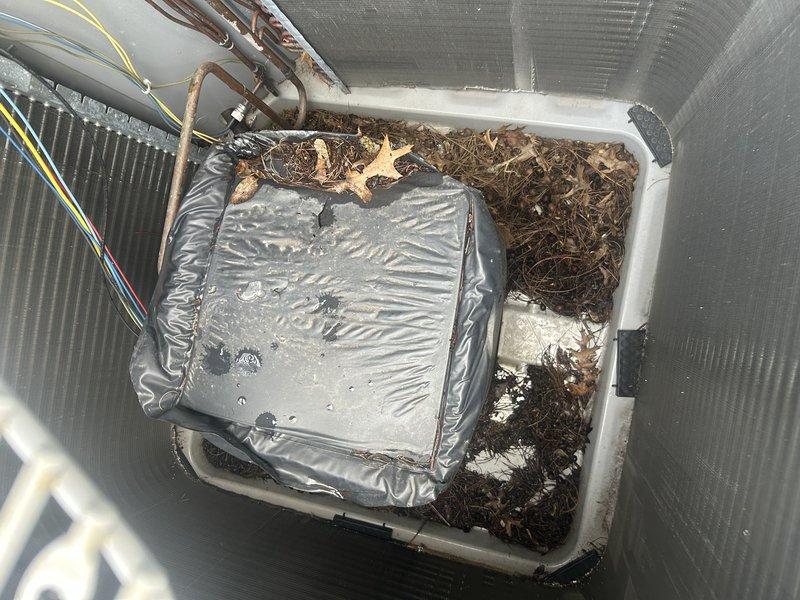 Completed annual maintenance agreement service on two active HVAC systems including furnace and air conditioning tune-ups. Performed operational testing on main basement furnace, replaced air filter, verified temperature rise within specifications, and identified active leak in collector box causing rust accumulation in combustion compartment along with steam humidifier canister requiring replacement. Inspected upstairs furnace with all components and temperature rise checking out satisfactorily, noted air filter replacement needed but spare not available on-site. Cleaned debris from outdoor condensing units, tested air conditioning operation on both active systems, and confirmed proper operation. Property has three total systems but older Carrier system with electric air handler is not in use. Provided pricing recommendations for steam humidifier canister, collector box replacement, and upstairs air filter replacement.