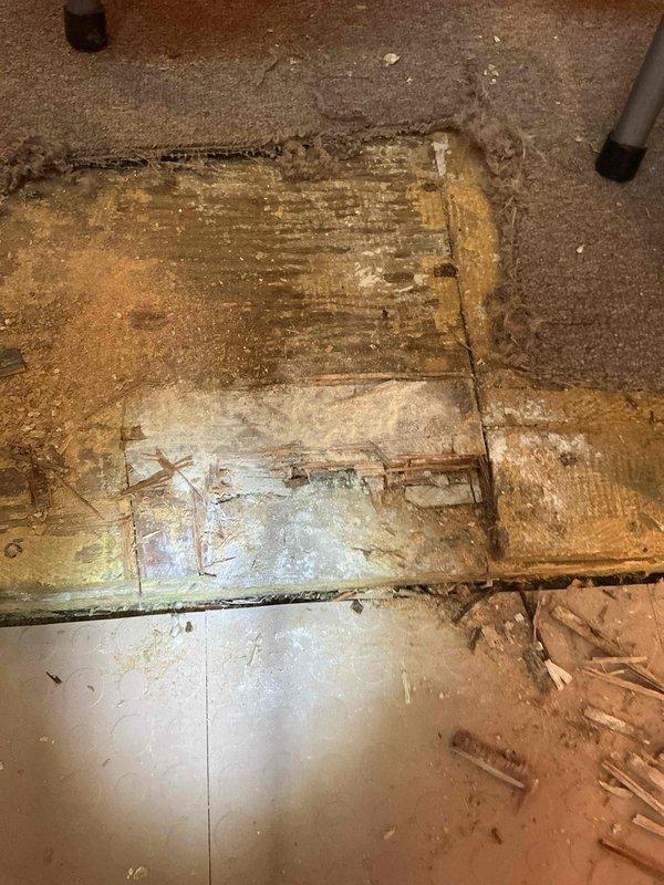 Responded to report of leaking pipe in basement causing water damage to carpet. Upon arrival, water supply to home had already been shut off. Conducted thorough inspection of basement plumbing system and surrounding areas to locate source of moisture. Examined flooring and discovered extensive water damage to wood planks and subflooring at multiple locations, including deteriorated threshold area between rooms. After comprehensive assessment of all accessible pipes, fixtures, and connections, no active plumbing leaks were identified. Determined moisture intrusion was consistent with groundwater seepage rather than failed plumbing components. Documented damaged flooring conditions with photographs showing warped wood, discolored subflooring, and water-stained threshold areas. Advised monitoring situation for any changes and recommended addressing groundwater drainage issues to prevent further damage.