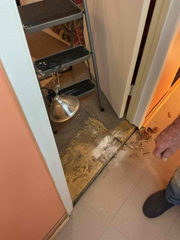 Responded to report of leaking pipe in basement causing water damage to carpet. Upon arrival, water supply to home had already been shut off. Conducted thorough inspection of basement plumbing system and surrounding areas to locate source of moisture. Examined flooring and discovered extensive water damage to wood planks and subflooring at multiple locations, including deteriorated threshold area between rooms. After comprehensive assessment of all accessible pipes, fixtures, and connections, no active plumbing leaks were identified. Determined moisture intrusion was consistent with groundwater seepage rather than failed plumbing components. Documented damaged flooring conditions with photographs showing warped wood, discolored subflooring, and water-stained threshold areas. Advised monitoring situation for any changes and recommended addressing groundwater drainage issues to prevent further damage.