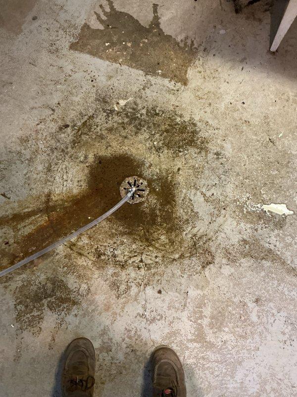 Responded to basement floor drain backup issue. Upon inspection, discovered grease blockage in main line just past the first deck and floor drain. Successfully cleared obstruction using medium rigid snake machine. Drain restored to proper flow and functionality.