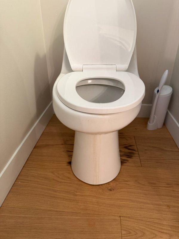 Responded to service call for reported toilet leak in residential bathroom. Upon inspection, identified water marks on flooring near toilet base consistent with leak at wax ring seal. Performed new homeowner inspection and assessed toilet condition and installation. Provided professional estimates for toilet replacement and lavatory faucet replacement options as requested by homeowner for future consideration.