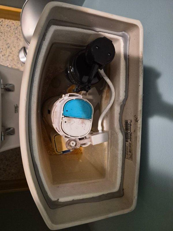 Responded to service call for two toilets that were continuously running. Upon inspection, determined that the ballcocks in both units were stuck in the open position, preventing proper tank fill and shut-off. Successfully replaced the faulty ballcocks in both toilets, restoring proper flush valve operation and eliminating the constant running water issue.