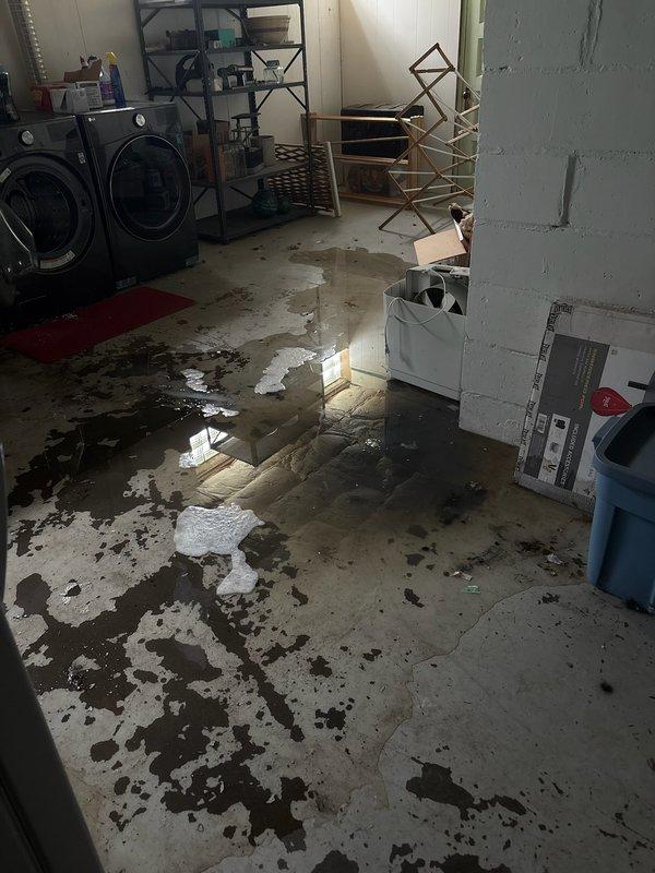 Responded to basement flooding issue originating from clothes washer drainage system. Upon arrival, found extensive standing water throughout laundry area with significant pooling around floor drain. Initial assessment confirmed floor drain was not draining properly following washing machine use.

Conducted thorough inspection of drainage system and identified root cause as multiple breaks in underground drainage piping. The compromised pipe sections were preventing proper water flow and causing backflow into the basement through the floor drain. Documented water damage extent with photographic evidence showing widespread flooding across concrete floor surface.

Due to the severity of underground pipe damage requiring excavation and replacement, coordinated follow-up estimate appointment for comprehensive repair scope including pipe replacement and restoration work.
