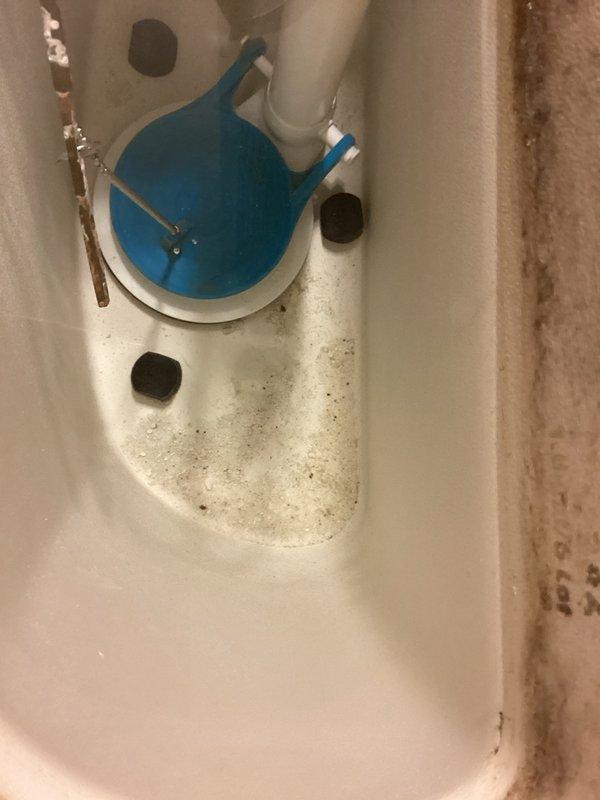 Completed recurring plumbing inspection of residential property, examining all accessible fixtures and components. Documented significant mineral buildup and corrosion inside toilet tank, including heavily rusted flush chain and interior staining indicating water quality concerns. Observed bathtub with substantial surface staining, rust discoloration along seam areas, and general accumulation of debris requiring attention. Provided estimates for recommended repairs and replacements based on inspection findings.