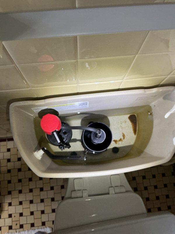 Completed biannual plumbing inspection including water heater tune-up and seasonal exterior faucet service. Inspected toilet tank flush mechanism components and noted mineral deposits and staining on interior tank walls requiring monitoring. Documented under-sink plumbing configuration with P-trap assembly and supply lines in proper working condition.