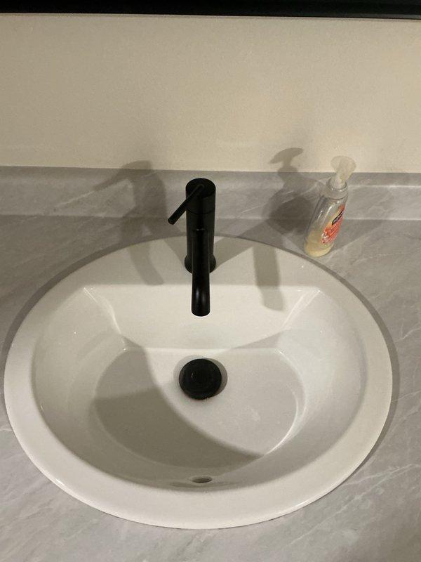 Completed complimentary plumbing inspection of bathroom fixtures including sink and toilet. Verified proper operation of matte black single-lever faucet with pop-up drain assembly installed on white oval basin with marble countertop. Inspected toilet fixture for proper function and documented conditions with photographs.