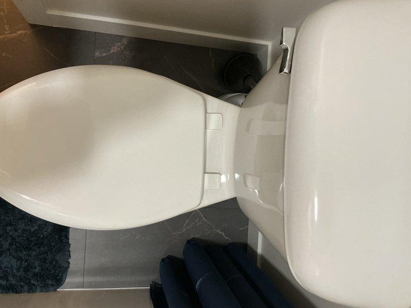 Completed complimentary plumbing inspection of bathroom fixtures including sink and toilet. Verified proper operation of matte black single-lever faucet with pop-up drain assembly installed on white oval basin with marble countertop. Inspected toilet fixture for proper function and documented conditions with photographs.