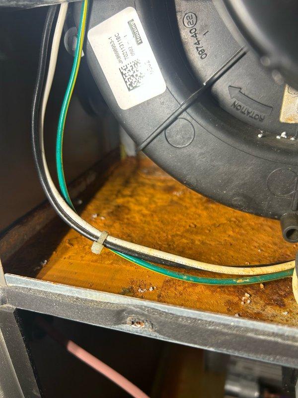 Completed annual furnace tune-up and maintenance inspection on residential heating system. Performed comprehensive evaluation including flame sensor cleaning, inspection of blower wheel, air filtration, inducer motor, gas valve, and heat exchanger scope—all components operating within normal parameters. Verified combustion efficiency at 93.1% with safe carbon monoxide levels and proper gas pressure. Cleared condensation drain trap of accumulated buildup to ensure proper drainage. System functioning properly with no deficiencies identified at time of service.
