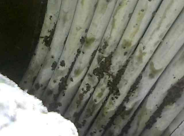 Performed scheduled maintenance on boiler system. Tested operational functionality and verified boiler pressure set at 15 psi. Expansion tank inspected and found in good condition. Removed and cleaned igniter and sensor components. Discovered debris buildup in bottom of heat exchanger and performed thorough cleaning of boiler interior. Cleared condensate trap of accumulated material. Reassembled all components and conducted final operational testing to confirm proper system function. All equipment operating within normal parameters upon completion.