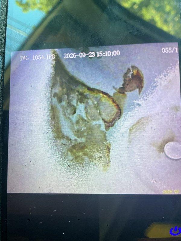 Responded to no heat call on 28-year-old furnace. Upon arrival, furnace operated and ran continuously during inspection; all current components including recently replaced blower motor functioning within specifications. However, discovered severe rust and corrosion on heat exchanger with multiple areas appearing cracked and potentially leaking combustion gases, creating possible carbon monoxide hazard and safety concern. Intermittent failure may be caused by failing gas valve or heat exchanger cracking causing unit to overheat and shut down on limit switch. Unable to definitively confirm intermittent issue with system operating normally during service call. Due to age of equipment, extent of heat exchanger deterioration, and potential safety hazards, recommended furnace replacement. Documented findings with inspection photos and scheduled replacement estimate.