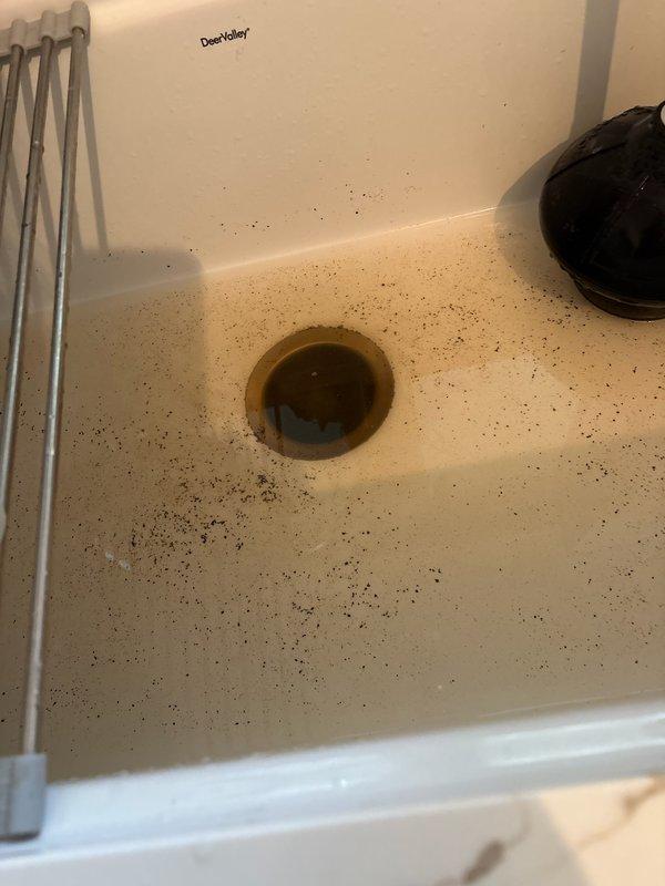 Responded to kitchen sink backup caused by clogged drain line. Upon arrival, found sink draining slowly with standing water and debris accumulation around drain opening. Customer had previously removed partial blockage from P-trap but drainage issue persisted. Inspected under-sink plumbing assembly including garbage disposal unit, PVC drain pipes, and P-trap configuration. Utilized drain cable to clear main drain line, successfully removing remaining obstruction that was causing backup. Verified proper drainage flow through sink and disposal unit. Tested garbage disposal operation to ensure functionality was restored. System now draining properly with no backup issues.
