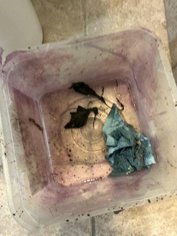 Responded to a lower level bathroom sink with complete drainage blockage. Upon arrival, found the trap had already been removed by the homeowner. Conducted diagnostic inspection of the pop-up assembly and visible drain components, finding no obstructions in the accessible areas, confirming the blockage was located further downstream in the drain line.

Deployed drain cable approximately 30 feet into the waste line to locate and clear the obstruction. Successfully extracted foreign material causing the stoppage. Reassembled all drain components including the P-trap and verified proper connections. Performed operational testing to confirm full drainage function and inspected all connections for leaks. System restored to normal operation with no leaks detected.