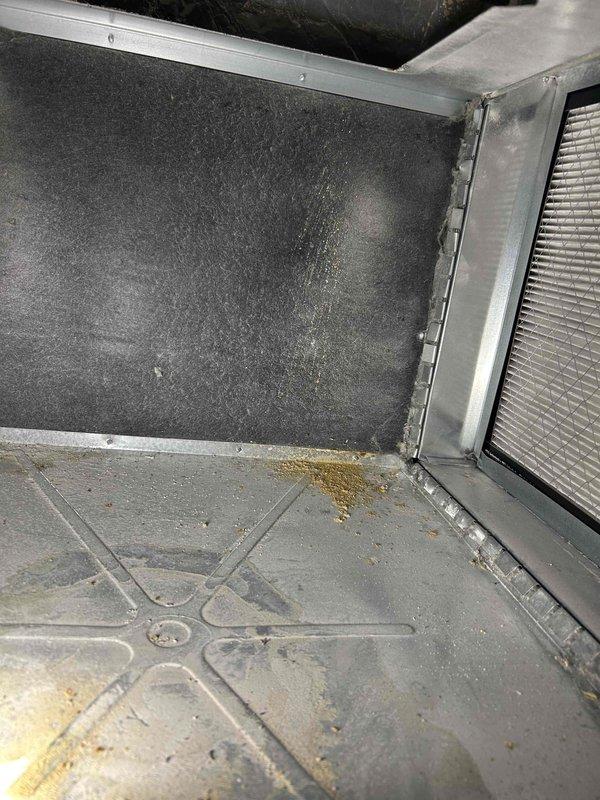 Responded to customer concern regarding carbon monoxide safety after neighboring property had furnace issues. Performed comprehensive furnace inspection and discovered inducer assembly completely filled with water. Found one mounting screw severely corroded and snapped off. Observed extensive rust accumulation beneath inducer assembly and on burner components. Conducted heat exchanger scope inspection which revealed multiple breach points indicating heat exchanger failure.

Due to severity of findings and carbon monoxide risk, immediately shut down furnace for safety. Disconnected inducer motor, unplugged igniter, and closed gas valve at appliance and main gas shutoff. Left blower operational to maintain air circulation capability for comfort. Provided repair estimates and scheduled appointment for replacement system consultation.

Additionally inspected air conditioning system which showed normal operating condition with no concerns noted. Enrolled customer in annual maintenance progr