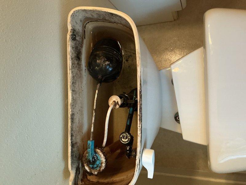 Responded to service call for toilet that runs constantly after flushing, requiring manual adjustment of float to stop water flow. Upon inspection, found toilet continuously leaking water into bowl due to malfunctioning flush mechanism. Internal tank components showed significant mineral buildup and calcium deposits on fill valve assembly, with visible hard water staining throughout tank interior. Adjusted float level to temporarily reduce water flow and leakage. Due to extent of mineral deposits, age-related deterioration of internal components, and compromised flush valve operation, provided estimate options for complete toilet replacement or full internal mechanism rebuild to restore proper function and eliminate continuous running condition.