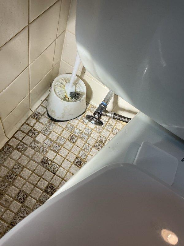 Responded to service call for multiple plumbing issues including toilet leak, basement ceiling water damage, and dripping tub drain. Replaced wax seal on toilet to eliminate leak at floor connection. Installed two new shut-off valves on toilets to ensure proper water control and prevent future leaks. Repaired tub drain to stop dripping issue. Upon inspection of basement ceiling tiles, identified source of water intrusion from bathroom plumbing above. All fixtures tested for proper operation and verified leak-free after repairs completed.