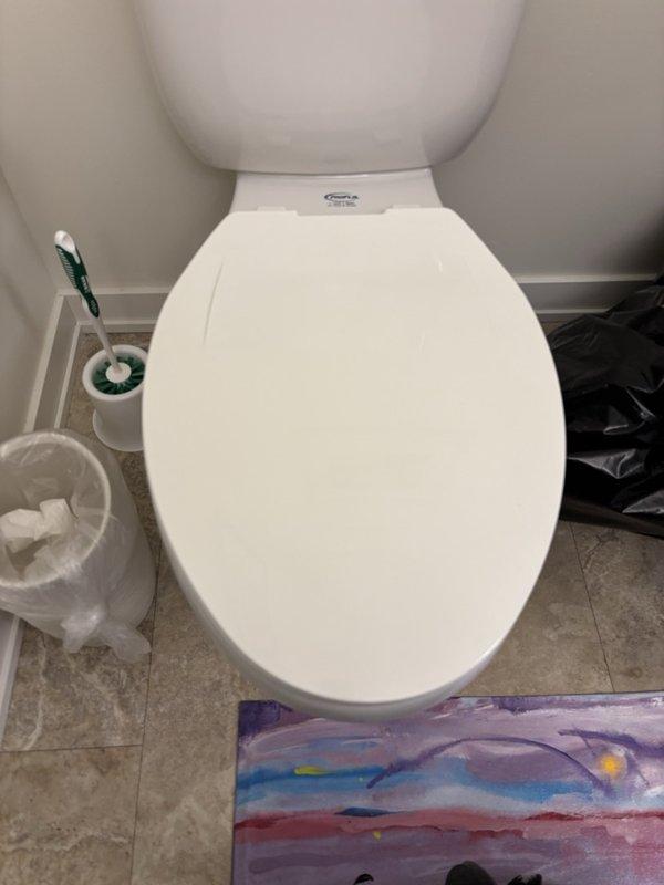 Installed customer-supplied Toto bidet washlet seat on existing toilet fixture. Connected water supply line to washlet unit and verified all connections were secure with no leaks detected after multiple flush cycles. Unable to perform full operational testing of electronic bidet functions due to lack of electrical power supply at time of installation. Washlet seat is properly mounted and plumbed, ready for use once electrical connection is established by customer. One-year parts and labor warranty provided for installation work performed; no warranty coverage applies to customer-supplied washlet unit itself.