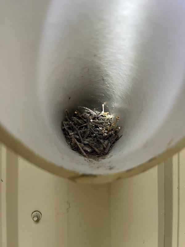 Responded to no heat call on Weil-McLain boiler in barn. Upon inspection, unit was igniting properly but shutting down prematurely. Discovered birds nest obstructing exhaust vent causing improper combustion air flow and flame rollout safety shutdown. Removed nesting material and debris from exterior exhaust piping back to unit. Interior exhaust components require cleaning with proper tooling during scheduled maintenance. Restored heat operation and recommended comprehensive boiler tune-up to address remaining maintenance needs.