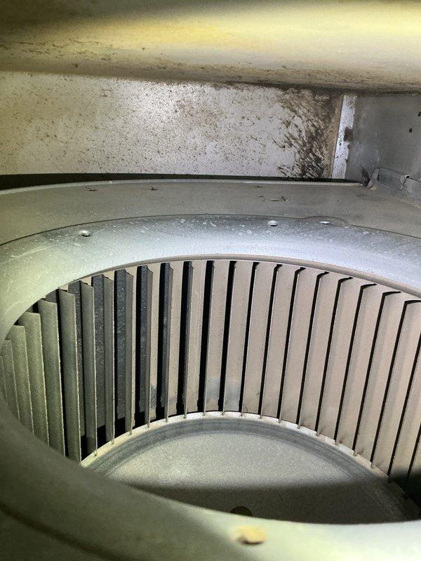 Completed seasonal furnace maintenance on 21-year-old Gibson unit operating as secondary heat source to wood boiler. Combustion analysis revealed acceptable parameters with O2 at 11.0%, CO at 10 ppm, and CO2 at 6.55%. Inspection identified draft inducer motor drawing elevated amperage and blower motor exhibiting oil leakage at bearings, both components showing age-related wear consistent with equipment lifespan. Recommended replacement of both motors and comfort advisor consultation for system evaluation given advanced age of equipment.