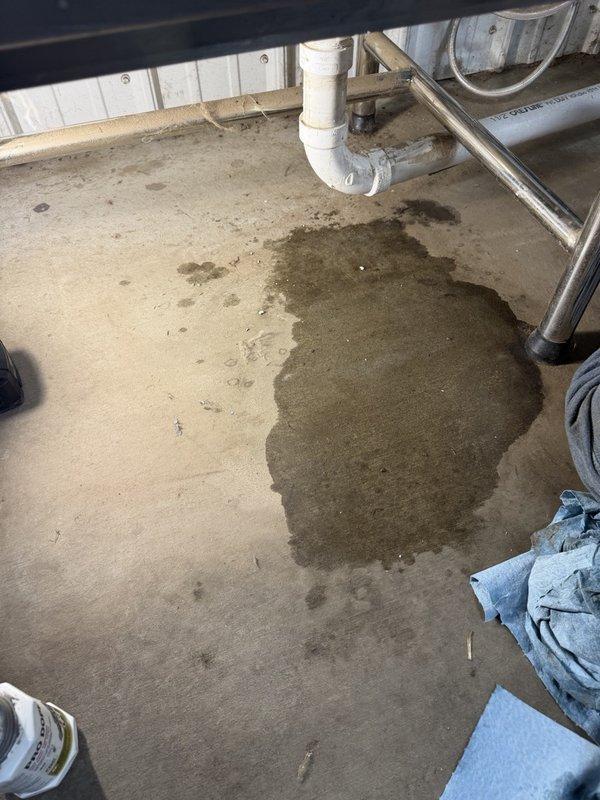 Responded to callback for recurring drainage issues at dog wash station. Found water leaking at connections beneath tub with evidence of floor saturation. Identified loose basket strainer as source of leak. Removed and properly reinstalled basket strainer using silicone sealant to ensure watertight seal. Performed drainage test to verify proper operation and confirmed all connections secure with no further leakage detected.