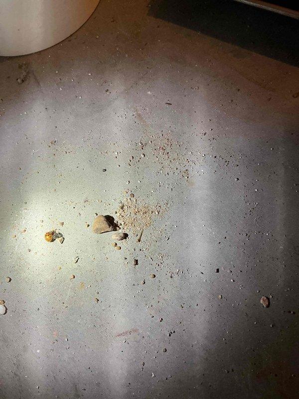 Responded to no-heat call on Carrier furnace (Model 99MVN7080G171114) following recent control board replacement. Unit displayed inducer start fault code upon arrival. Removed and inspected inducer motor assembly, discovering the blower wheel was jammed with debris including rocks that had entered the system. Cleared obstruction and verified free rotation of inducer wheel. Cleaned burner assembly which showed moderate dirt accumulation. Reassembled unit and performed operational test, confirming proper ignition sequence and heat output. System restored to normal operation.