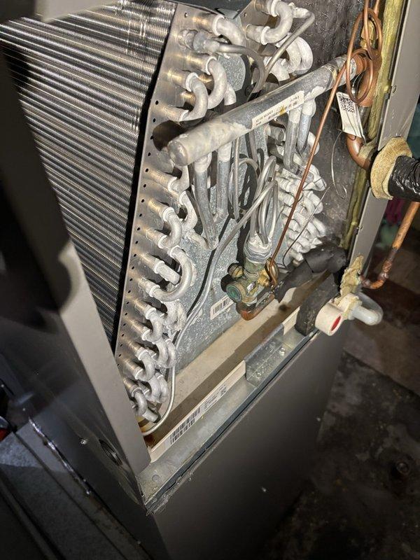 Responded to Unit 2 for water leak and moisture damage to surrounding wood paneling and sheetrock. Upon inspection, found condensate drain pan severely blocked with spiders and debris, preventing proper drainage. Flushed pan multiple times with over two gallons of water to clear blockage and verify proper flow through condensate pump. Water had entered furnace blower compartment during leak; operated fan to dry out affected area. Replaced thermostat batteries per low battery indicator. Inspected heat exchanger and venting for potential leak sources—no issues found. Tested condensate pump operation and confirmed proper function after clearing blockage.