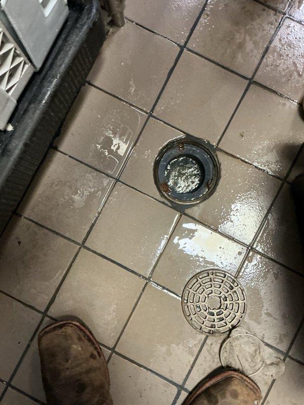 Responded to floor drain backup in commercial facility. Upon arrival, found floor drain actively backing up with standing water present on tiled surface. Inspection revealed drain screens completely obstructed with accumulated debris, preventing proper drainage. Removed drain cover and strainer basket to access blockage. Cleared screens of all debris and deployed small drain snake through floor drain line to remove obstruction and restore flow. Verified proper drainage function upon completion. Area left clean and operational.