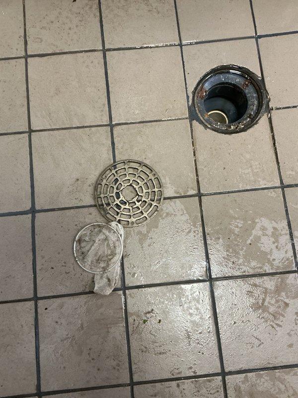 Responded to floor drain backup in commercial facility. Upon arrival, found floor drain actively backing up with standing water present on tiled surface. Inspection revealed drain screens completely obstructed with accumulated debris, preventing proper drainage. Removed drain cover and strainer basket to access blockage. Cleared screens of all debris and deployed small drain snake through floor drain line to remove obstruction and restore flow. Verified proper drainage function upon completion. Area left clean and operational.