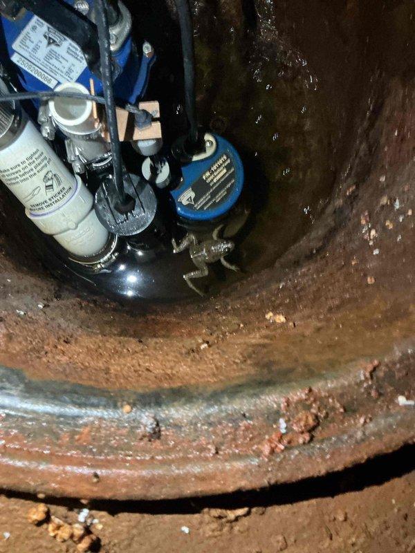 Responded to alarm condition on sump pump system installed under warranty. Upon arrival, inspected primary and backup pump assembly in basement sump pit and determined backup pump had activated due to operational issue. Verified system functionality, checked discharge piping connections, and confirmed proper pump operation. Documented existing conditions including significant corrosion on pit walls and surrounding surfaces, though pump equipment remained in serviceable condition. System restored to normal operation with both primary and backup pumps functioning as designed.