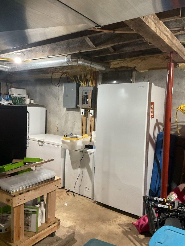 Completed scheduled heating system maintenance on a 9-year-old Goodman furnace per family rewards program agreement. Performed comprehensive tune-up procedures including inspection of all mechanical components, electrical connections, blower motor assembly, and ductwork system in basement installation. All systems operating within normal parameters with no deficiencies noted or additional service requirements identified at time of visit.