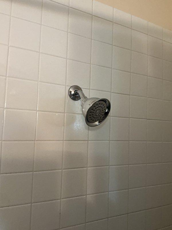 Replaced existing shower faucet with new Moen chrome 2-handle shower valve and trim assembly. Cut access openings in wall to facilitate installation of the new valve body and plumbing connections. Installed access panels at wall openings to allow for future maintenance access to the plumbing infrastructure.