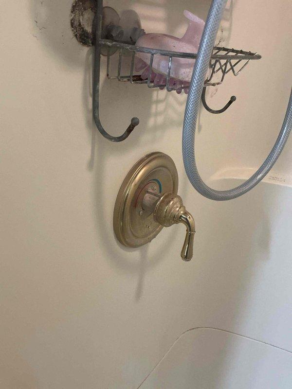Responded to a no hot water complaint on a residential tanked water heater. Upon arrival, inspected the unit and verified customer reports of cold water at fixtures. Performed diagnostic testing on the water heater system, checking thermostat settings, power supply connections, and heating element functionality. Determined the water heater was operating within normal parameters with no mechanical or electrical failures detected. Confirmed hot water delivery was restored to all fixtures including shower. System returned to full operational status with no repairs required.