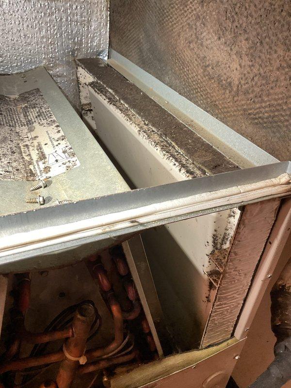 Arrived to perform an AC and furnace tune-up and blower (squirrel cage) cleaning request. Upon inspection, the 24-year-old air handler showed heavy contamination from smoke residue and dark microbial growth on the cabinet interior, insulation, and evaporator compartment. Due to the unit's age and condition, the customer elected to forgo maintenance and pursue system replacement, and a comfort advisor was brought in to evaluate the system and provide replacement options.