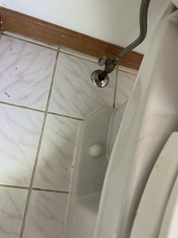 Diagnosed the garbage disposal as failed and leaking, then disconnected and removed the unit from the sink drain assembly and discharge connection. The under-sink supply lines and drain trap were left intact, and the area was inspected afterward. The toilet supply line and angle stop showed no visible leaks, though a flange or wax ring failure at the toilet base remains a suspected source of the moisture in the surrounding tile.