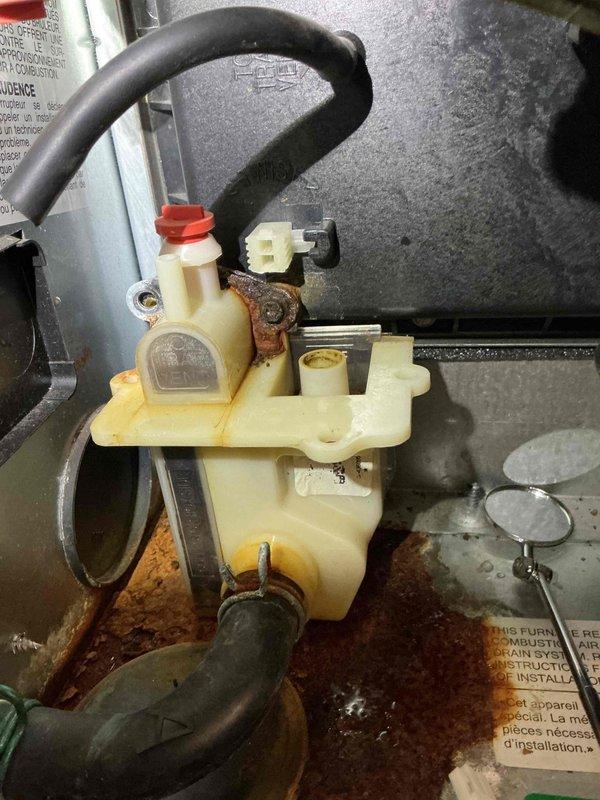 Diagnosed a no-heat condition with a code 58 (water sensor circuit open) caused by a leaking condensate trap seal and a corroded, possibly cracked collector box. Replaced the collector box and condensate trap because heavy rust prevented separating the components. Inspected the heat exchanger, which appeared in good condition, and verified all electrical components operated properly. Test-running the furnace then revealed a high limit switch trip, which was being evaluated at the time of this record.