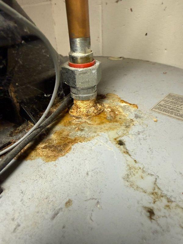 Diagnosed a 2019 gas tank-style water heater with calcified, corroded top nipples and fittings leaking at the hot and cold connections, causing heavy rust and mineral deposits across the tank top. Confirmed the corrosion was beyond repair and the unit required replacement, which was approved and sold.