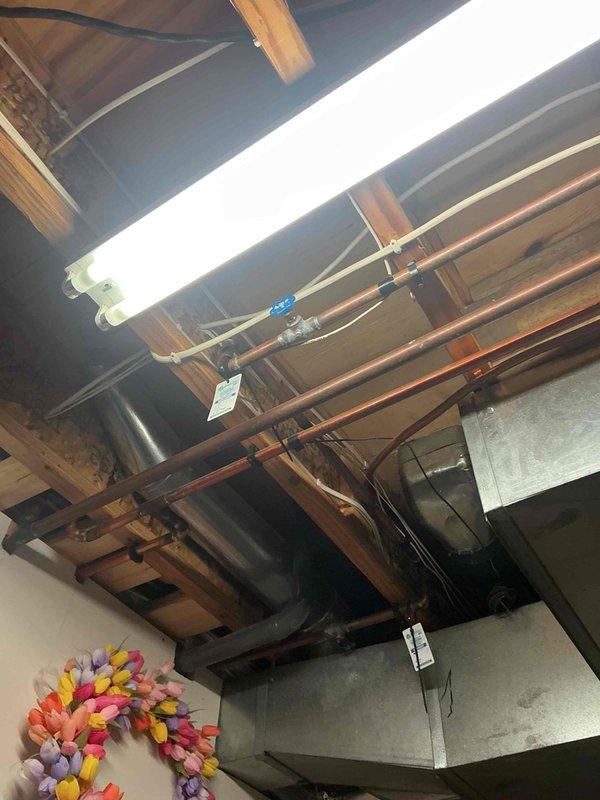 Performed a biannual plumbing inspection of exposed copper supply lines, valves, and fittings in the basement utility area, finding the lines and shutoff valve generally intact with some surface oxidation. Identified heavy verdigris corrosion on a copper line and brass compression fittings at the equipment cabinet, indicating a possible slow leak or connection deterioration; recommend further evaluation and fitting replacement or tightening to prevent water damage.