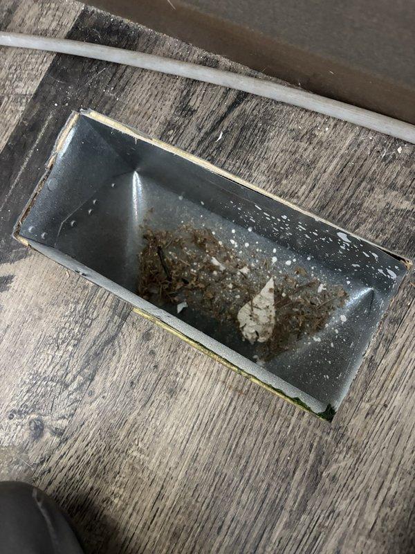 Performed duct cleaning on 11 supply and return openings, removing accumulated pet hair, dust, and debris from register boots and accessible ductwork using agitation and high-powered vacuum extraction. Ensured all pets remained safely indoors throughout the service. Noted residual white paint overspray on the interior galvanized boot surfaces, and verified all openings were clear of debris upon completion.