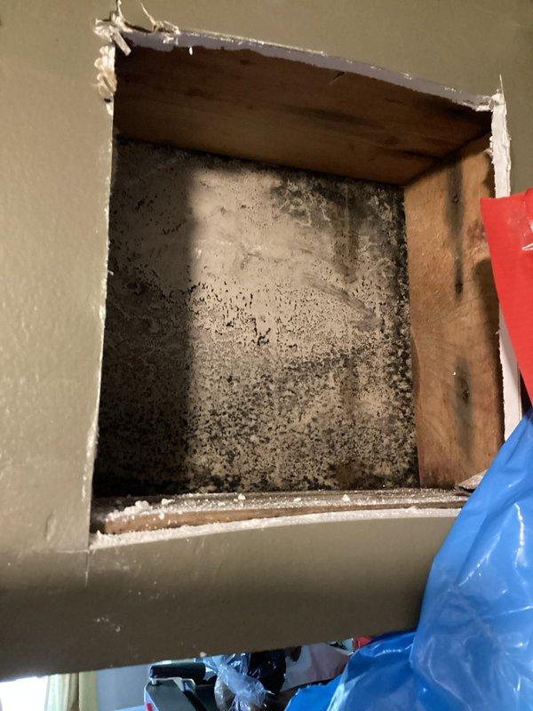 Responded to water damage complaint affecting ceiling below second-floor bathroom. Upon inspection, discovered active moisture intrusion and dripping originating from bathroom area above damaged ceiling. Homeowner had already opened ceiling to expose extent of damage, revealing significant mold growth within wall cavity behind bathtub surround. Inspected bathroom fixtures including shower valve, showerhead assembly, tub spout, and overflow drain for potential leak sources. Documented conditions with photographs showing bathtub installation and exposed wall cavity with visible mold contamination. Confirmed moisture presence and active water intrusion requiring immediate attention. Advised homeowner that mold remediation specialist would need to address biological growth before plumbing repairs could proceed. Identified bathroom plumbing system as source of water damage requiring further investigation once remediation complete.