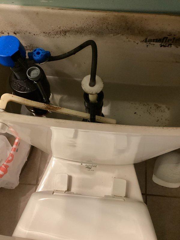 Responded to main floor bedroom bathroom for reported clogged bathtub drain and sink. Upon arrival, inspected both fixtures and underlying plumbing connections. Assessed drain assemblies, tested water flow, and cleared blockages from both the bathtub drain line and sink drain to restore proper drainage function. Verified all fixtures were draining properly upon completion.