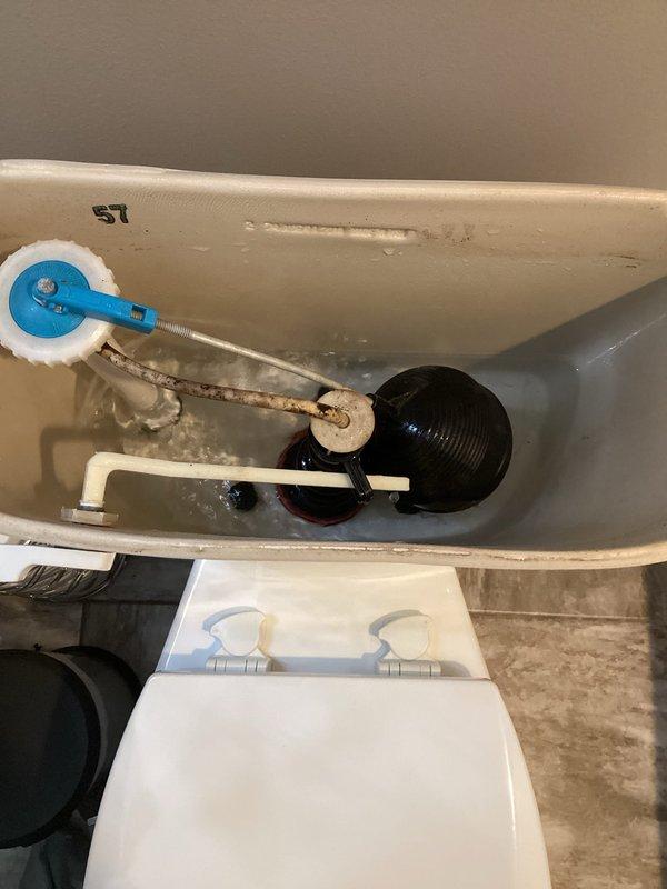 Completed preventive maintenance plumbing service on electric tanked water heater located in garage. Performed standard water heater flush procedure to remove sediment buildup and maintain optimal heating efficiency. Inspected plumbing connections, PVC piping configuration, shut-off valves, and pressure relief components for proper operation and signs of wear. All systems found functioning correctly with no leaks detected at connections or fittings.