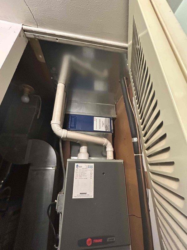 Conducted on-site evaluation of existing HVAC system for replacement estimate. Assessed current Trane XV95 furnace installation in basement utility area, documenting equipment condition, venting configuration with white PVC piping, and condensate drainage system. Evaluated mechanical room layout including spatial constraints and existing infrastructure to determine replacement equipment specifications and installation requirements.
