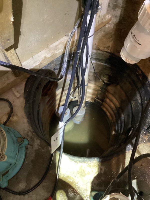 # Counter Sales Summary

Provided customer consultation and assessment for aging water well pressure tank system showing significant rust and corrosion on tank cap and upper components. Reviewed existing sump pump installation with visible wear and murky water accumulation in basin. Discussed replacement options for corroded pressure tank and potential upgrades to current plumbing configuration including PVC discharge piping and electrical connections requiring attention due to moisture exposure in utility space.