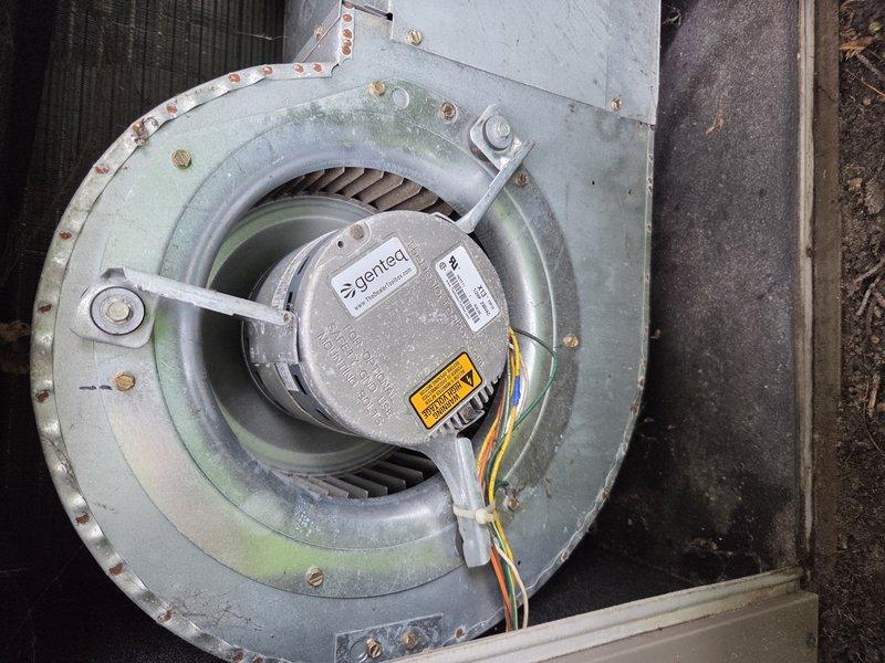 Responded to no cooling complaint on park model HVAC unit where system was powering on but no airflow was detected through vents. Upon arrival, performed diagnostic inspection of blower assembly and motor components. Inspected blower motor assembly, housing, and mounting bracket for proper operation and mechanical integrity. Examined motor label specifications and verified model number L013A. Assessed blower wheel condition and checked for obstructions or mechanical binding. Evaluated motor wiring connections and electrical components for proper functionality. Documented condition of blower assembly showing dust accumulation and normal wear patterns on housing and motor surfaces. Verified mounting hardware and support brackets were secure. Photographed motor assembly and blower housing for service records showing component identification labels and overall unit condition.
