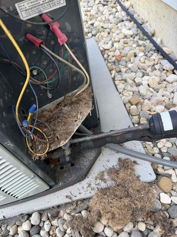 Completed routine cooling system maintenance for monthly member. Accessed outdoor condensing unit and inspected electrical components including capacitor, contactors, and wiring connections. Removed significant accumulation of dried grass, plant material, and debris from interior compartment and base of unit that had built up from outdoor exposure. Performed electrical testing with multimeter probes to verify proper voltage and component operation. Cleaned debris from concrete pad surrounding unit. All electrical connections secure, components operating within normal parameters. System running efficiently following maintenance and cleaning procedures.